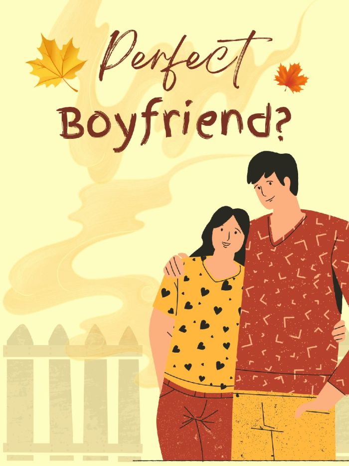 Perfect Boyfriend?