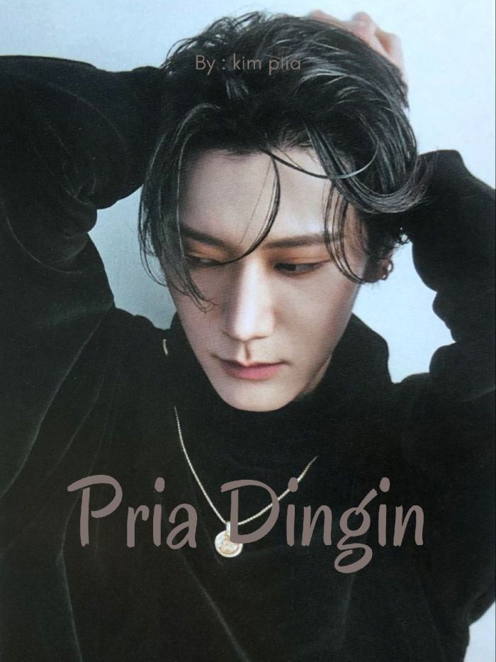 Pria Dingin