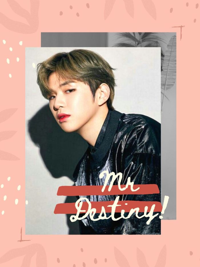 Mr. Destiny