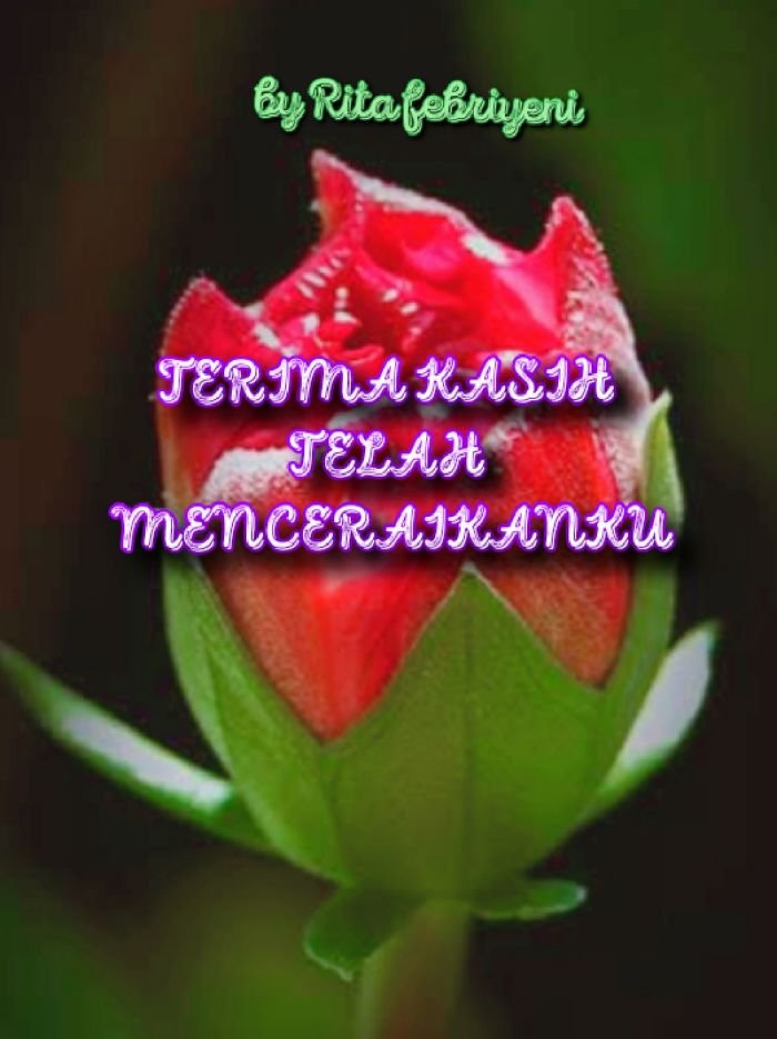 TERIMA KASIH TELAH MENCERAIKANKU