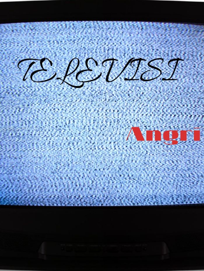 TELEVISI