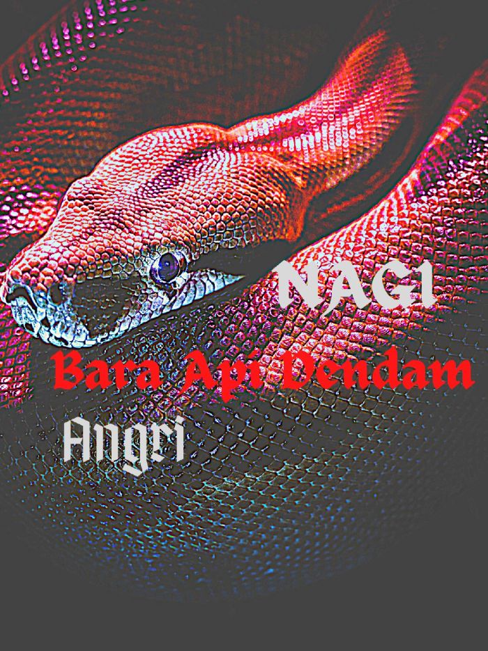 NAGI - BARA API DENDAM