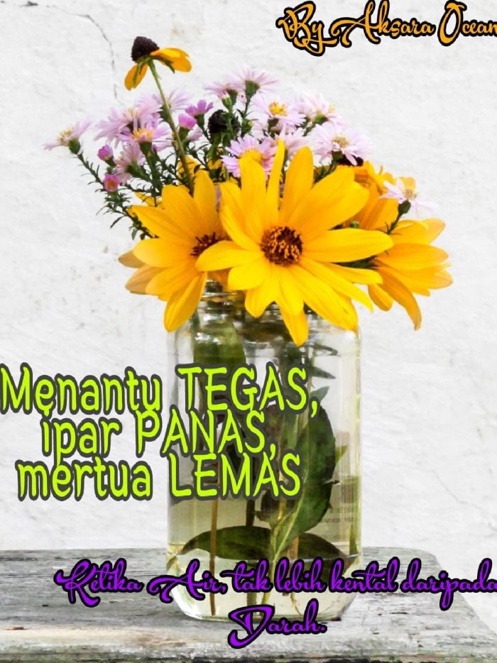 Menantu Tegas, Ipar Panas, Mertua Lemas (FREE COIN)